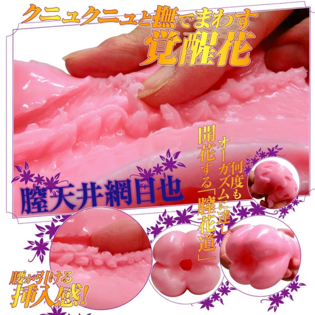 Ride Japan Onahole Vaginal heaven mesh with virgin lotion (110mm) Asli Jepang