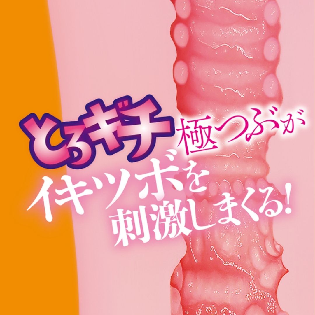 Torogichi Vacuum Extreme Crunch ACJN-123 Karin Kitaoka Adult Toy Japan