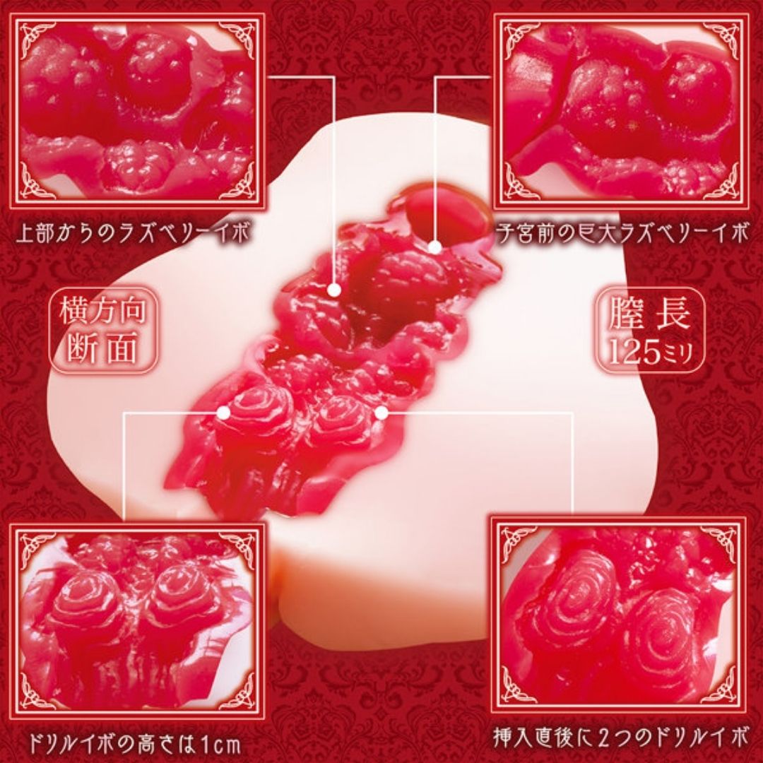 NOTOWA Pure Vermilion RE Adult Toy NTWA-057 Japanese Made New Model