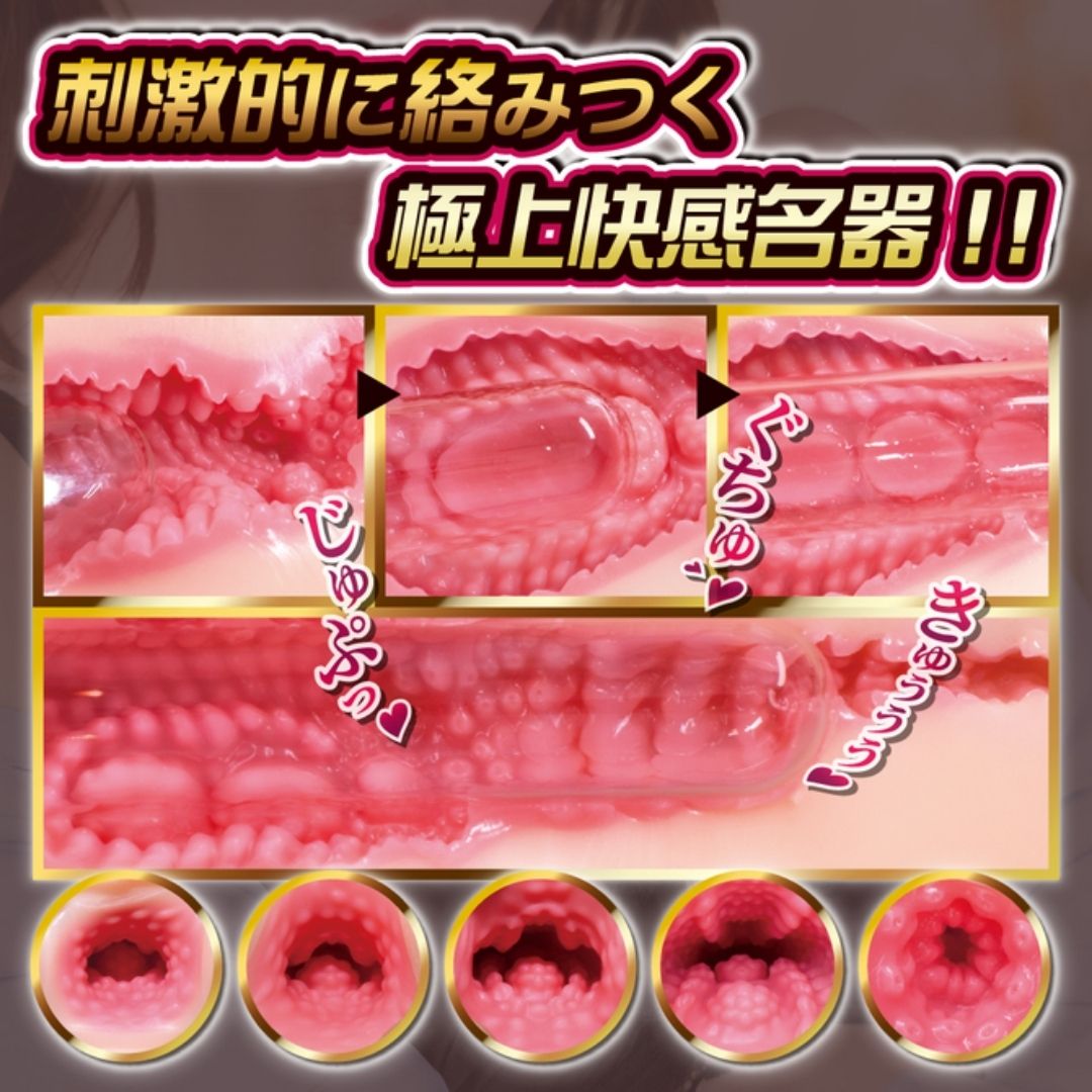Toy's Heart Aoi Ibuki Realistic Adult Toy Venus Skin Bonus Photo Edition